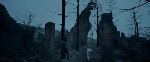 the_revenant_frame_1738666346.4197211.webp