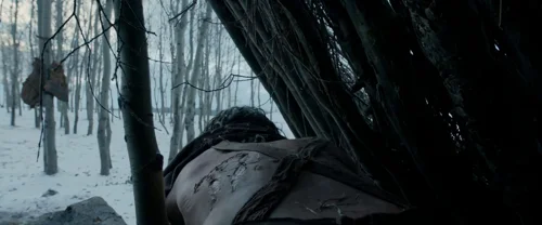 the_revenant_frame_1738666346.744202.webp