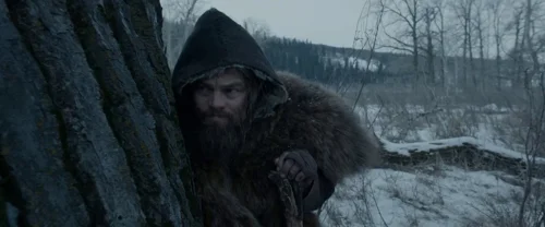 the_revenant_frame_1738666347.3891516.webp