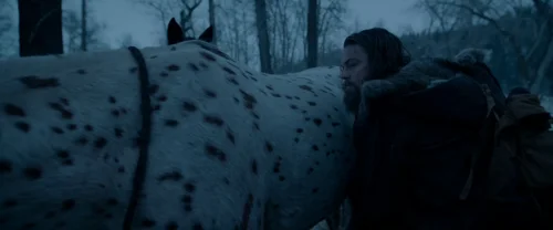 the_revenant_frame_1738666347.8257535.webp
