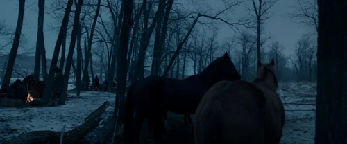 the_revenant_frame_1738666348.3320563.webp