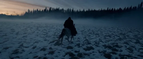 the_revenant_frame_1738666349.3080397.webp