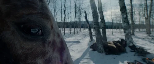 the_revenant_frame_1738666349.5860093.webp