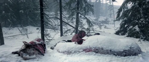 the_revenant_frame_1738666351.2400327.webp