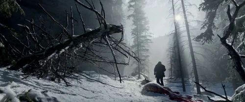 the_revenant_frame_1738666351.531074.webp
