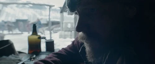 the_revenant_frame_1738666352.4902086.webp