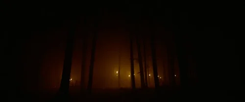 the_revenant_frame_1738666352.696457.webp