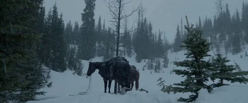 the_revenant_frame_1738666356.7881415.webp