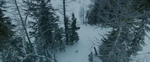 the_revenant_frame_1738666357.5740647.webp