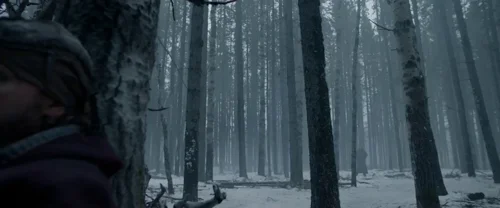 the_revenant_frame_1738666357.8035638.webp