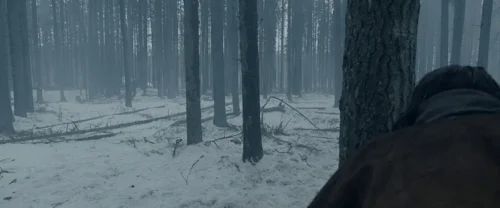 the_revenant_frame_1738666358.081493.webp