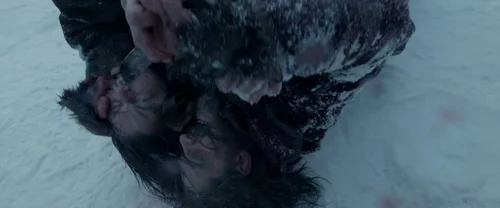 the_revenant_frame_1738666359.1776078.webp
