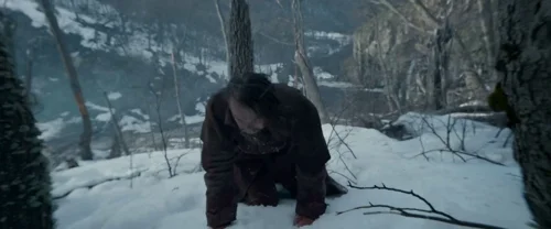 the_revenant_frame_1738666360.6378193.webp