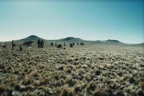 the_settlers_frame_1739923410.7675278.webp