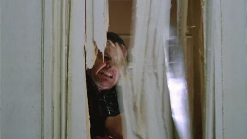 the_shining_frame_1738635065.6881769.webp