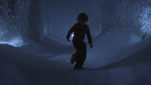 the_shining_frame_1738635072.9358542.webp