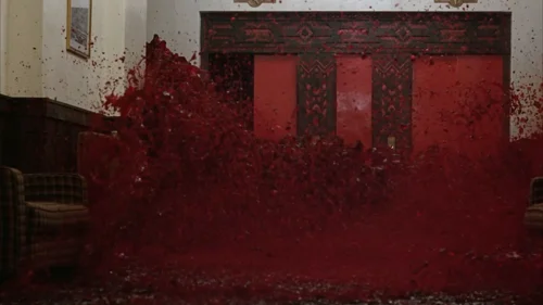 the_shining_frame_1738635073.569.webp