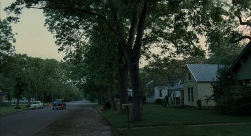 the_tree_of_life_frame_1748478960.2805645.webp