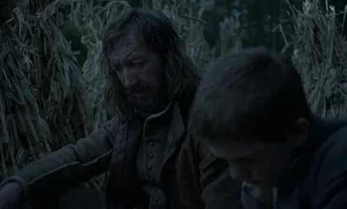 the_witch_frame_1738859915.2007759.webp