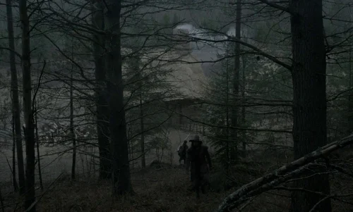 the_witch_frame_1738859915.4255044.webp