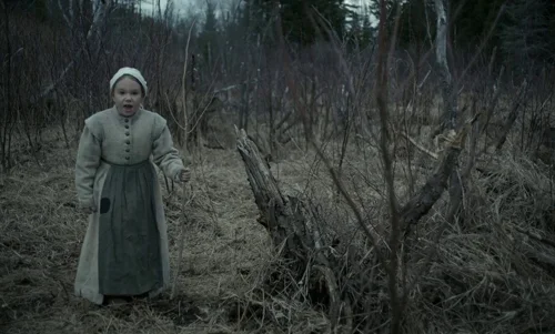 the_witch_frame_1738859917.9366722.webp
