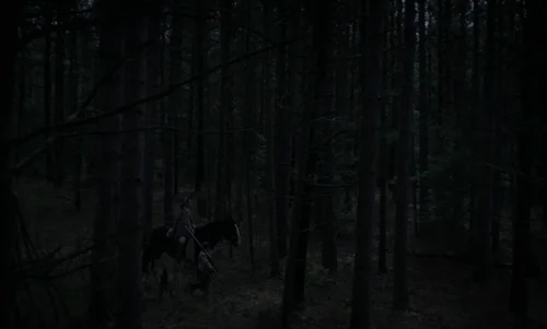the_witch_frame_1738859920.1745982.webp
