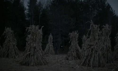 the_witch_frame_1738859920.5439599.webp