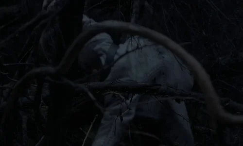 the_witch_frame_1738859921.0676281.webp