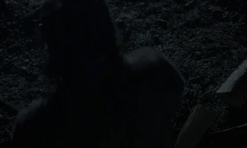 the_witch_frame_1738859922.7544038.webp