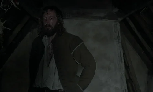 the_witch_frame_1738859923.68074.webp