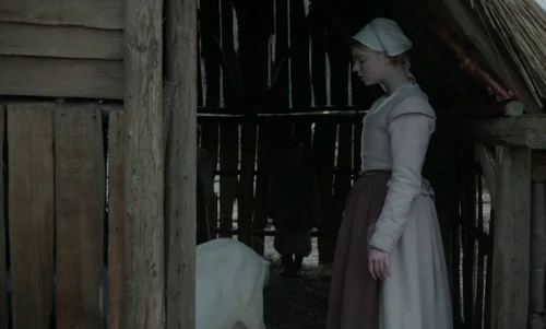 the_witch_frame_1738859923.930372.webp