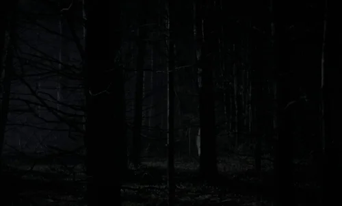 the_witch_frame_1738859930.7094488.webp