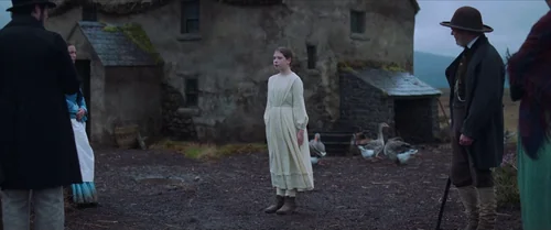 the_wonder_frame_1739300164.83674.webp