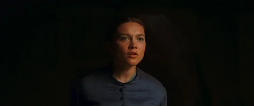 the_wonder_frame_1739300377.8748949.webp