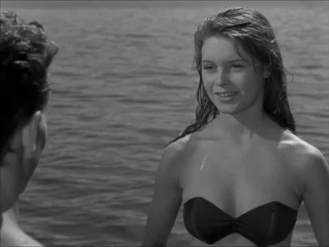 the_girl_in_the_bikini_frame_175.webp