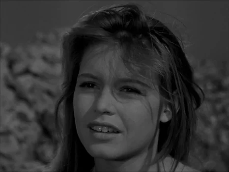 the_girl_in_the_bikini_frame_203.webp