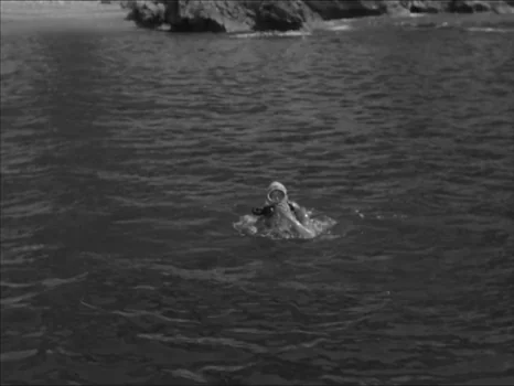 the_girl_in_the_bikini_frame_256.webp