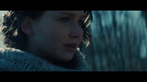 the_hunger_games:_catching_fire_frame_1738694410.9227962.jpg