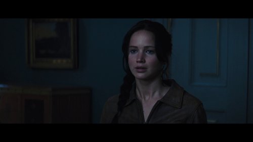 the_hunger_games:_catching_fire_frame_1738694412.5247693.jpg
