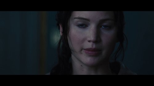 the_hunger_games:_catching_fire_frame_1738694413.1228557.jpg