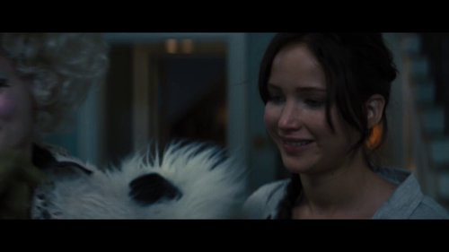 the_hunger_games:_catching_fire_frame_1738694413.8882966.jpg