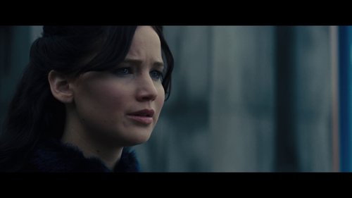 the_hunger_games:_catching_fire_frame_1738694416.829718.jpg
