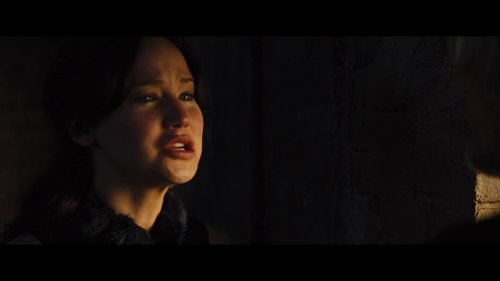 the_hunger_games:_catching_fire_frame_1738694417.7591188.jpg