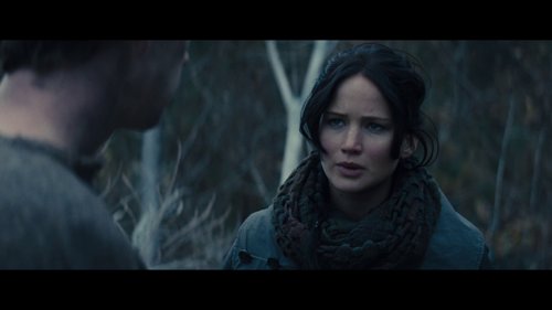 the_hunger_games:_catching_fire_frame_1738694421.8739057.jpg