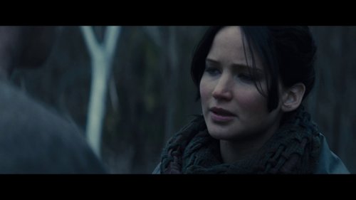 the_hunger_games:_catching_fire_frame_1738694422.1389558.jpg