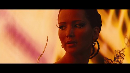 the_hunger_games:_catching_fire_frame_1738694434.0048475.jpg