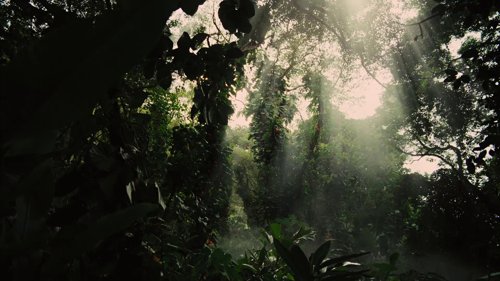 the_hunger_games:_catching_fire_frame_1738694438.7276196.jpg