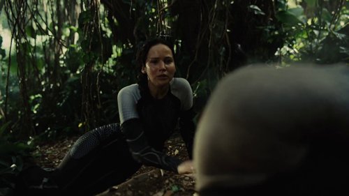the_hunger_games:_catching_fire_frame_1738694439.2246232.jpg