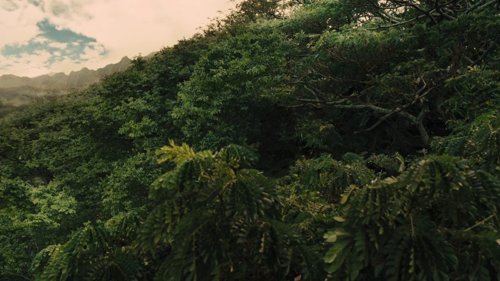 the_hunger_games:_catching_fire_frame_1738694439.981567.jpg
