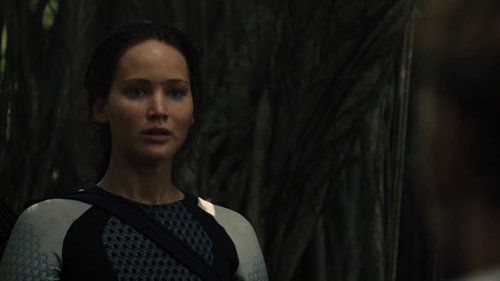 the_hunger_games:_catching_fire_frame_1738694440.2050588.jpg